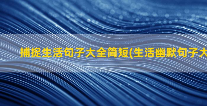 捕捉生活句子大全简短(生活幽默句子大全 爆笑)